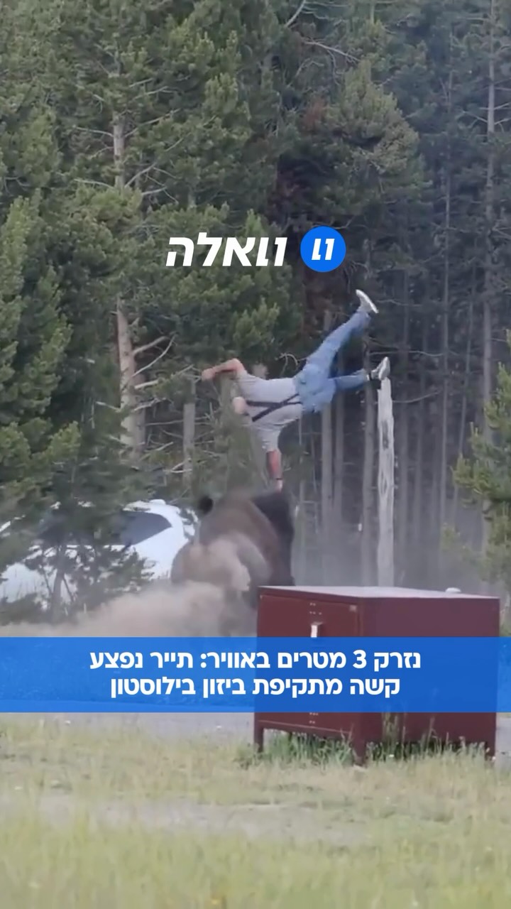תייר נפצע באורח קשה לאחר ששור ביזון הטיח אותו לגובה של כ-2.5...