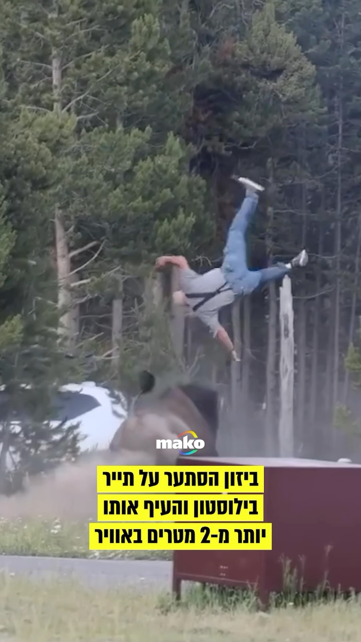תייר בפארק הלאומי ילוסטון נפצע ופונה לקבלת טיפול רפואי, לאחר...