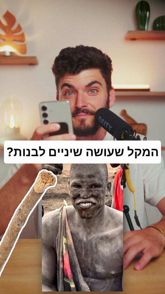 מיסוואק...