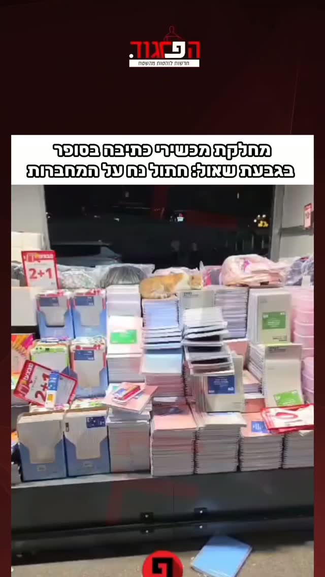 מחלקת מכשירי כתיבה בסופר בגבעת שאול: חתול נח על המחברות...