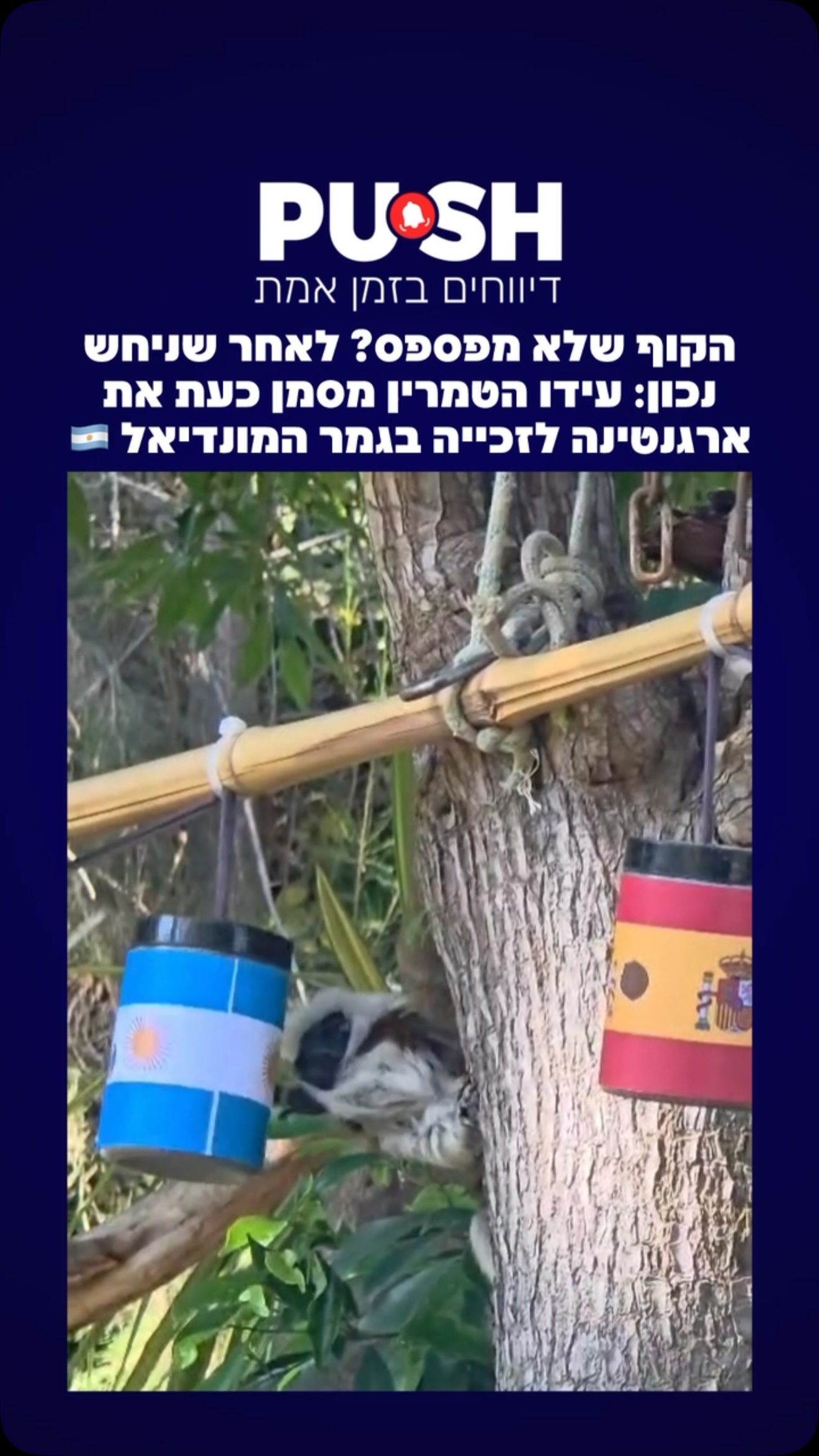 ⁨ אחרי שפגע בשתי התחזיות הקודמות, עידו קוף הטמרין מהספארי שוב...