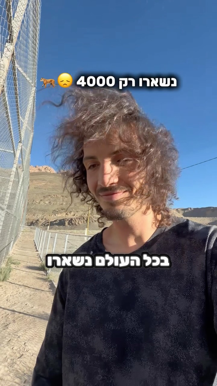 יצאתי ברגשות מעורבים...