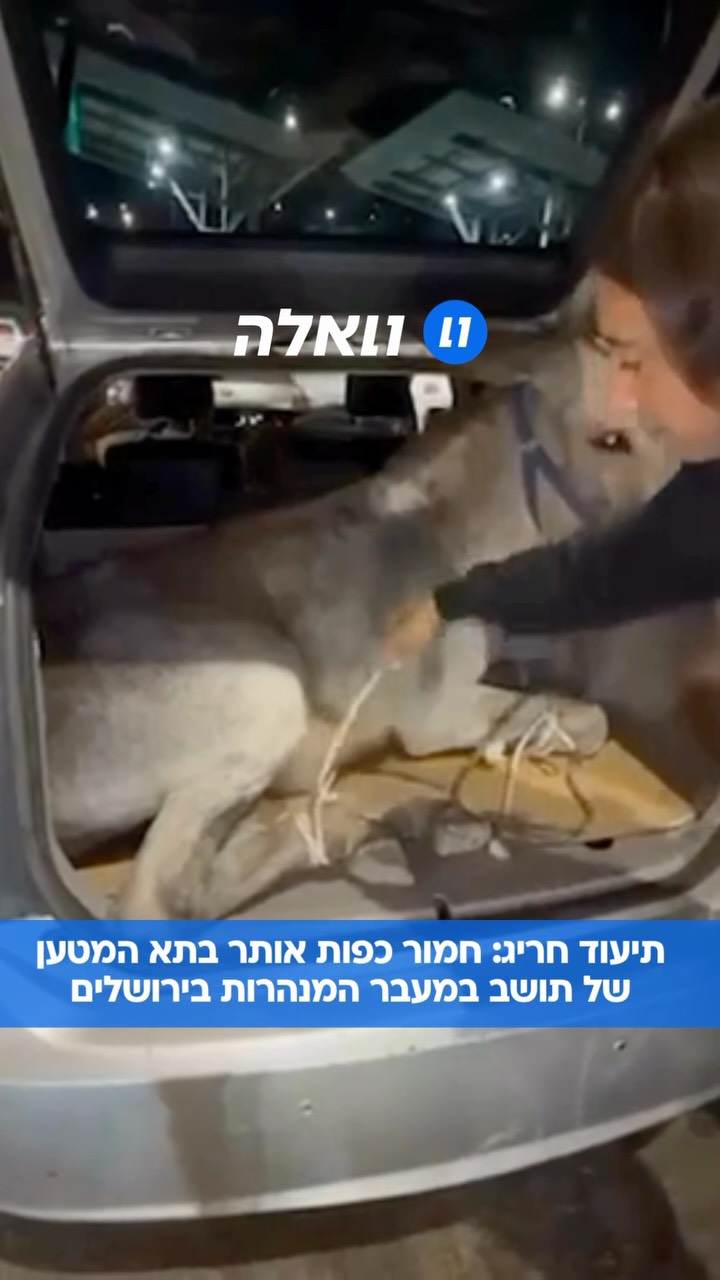 תיעוד חריג: לוחמי מג”ב ולוחמי המעברים איתרו אתמול בערב חמור...