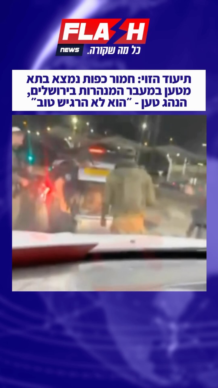 שוטרים במעבר המנהרות בירושלים איתרו חמור כפות בתוך תא המטען...
