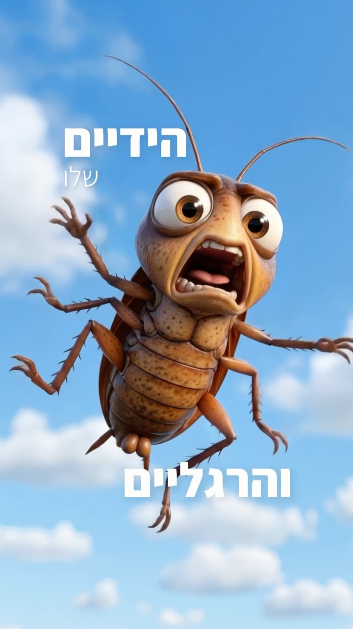 ⁨ אז את מחוץ לאוטו או בתוך האוטו?🪳...