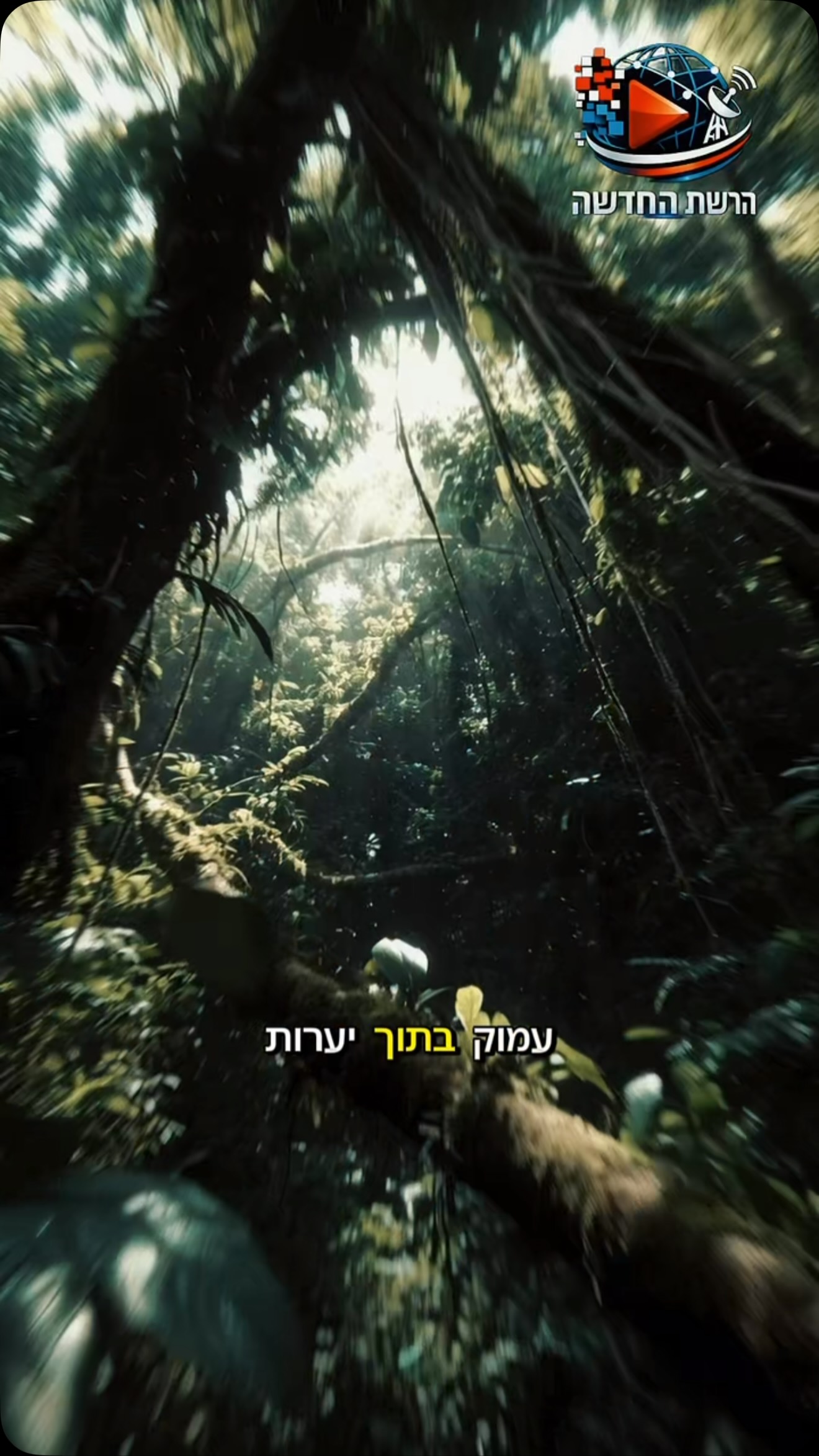 הקוף שנראה כאילו יצא מעולם אחר 🐒🌈...