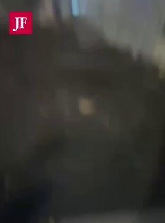 בדלתיים סגורות: תיעוד מעצר הנהג הדורס בברלין...
