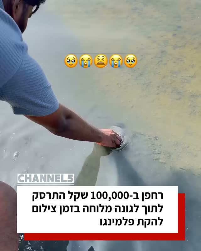 רחפן ב-100,000 שקל התרסק לתוך לגונה מלוחה בזמן צילום להקת פלמינגו...