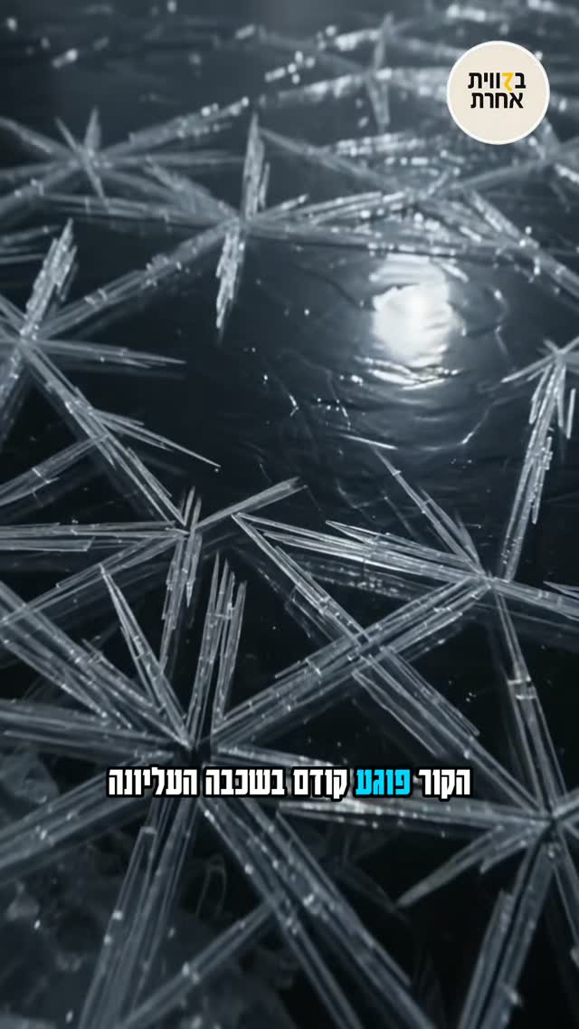השכבה שמגנה 🧊 מה שנראה כמו קשיחות קפואה מלמעלה הוא בדיוק מה...