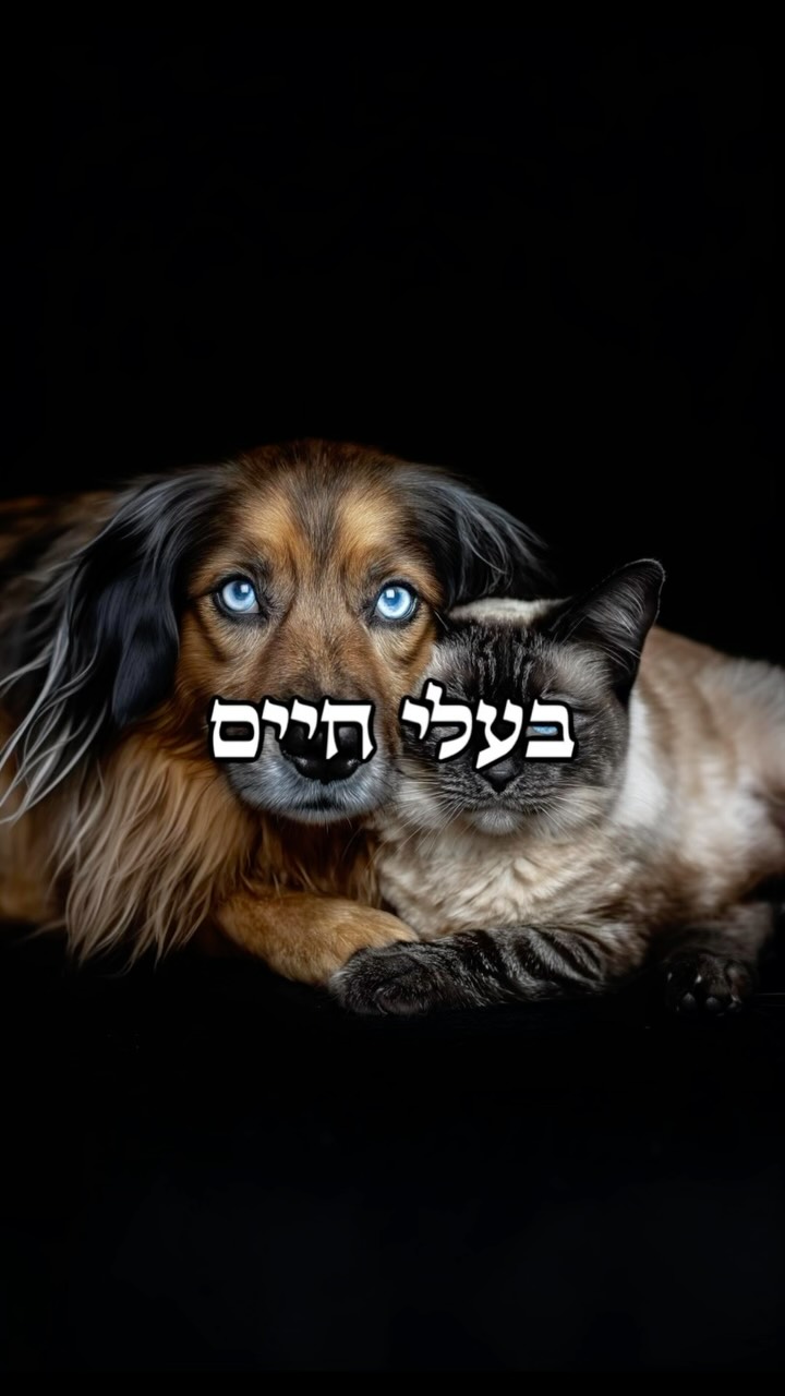 אהבה אמיתית, נמדדת בנוכחות 🐈🐕...