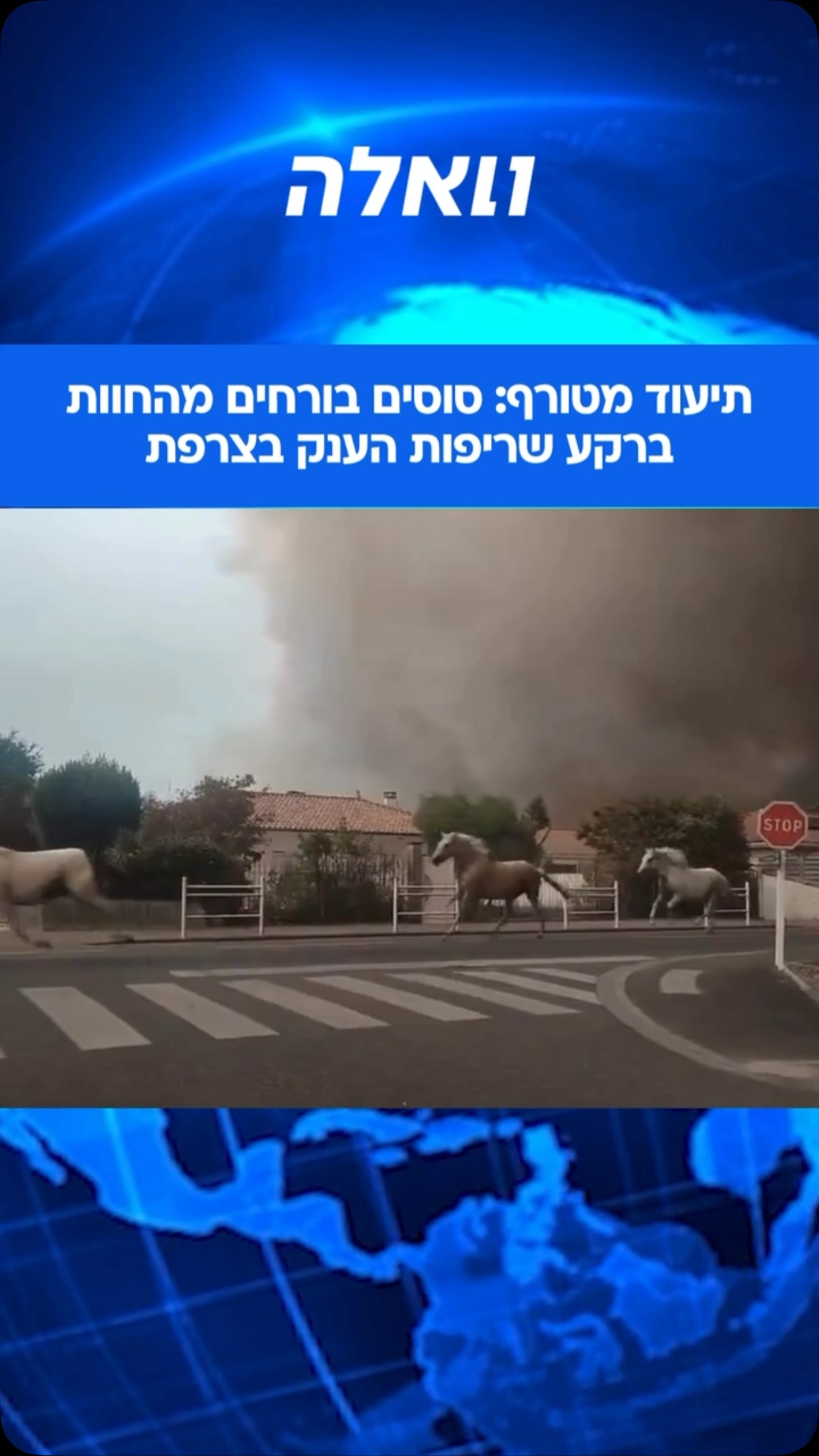 תיעוד קורע לב משריפות הענק המשתוללות בצרפת מציג את רגעי האימה...