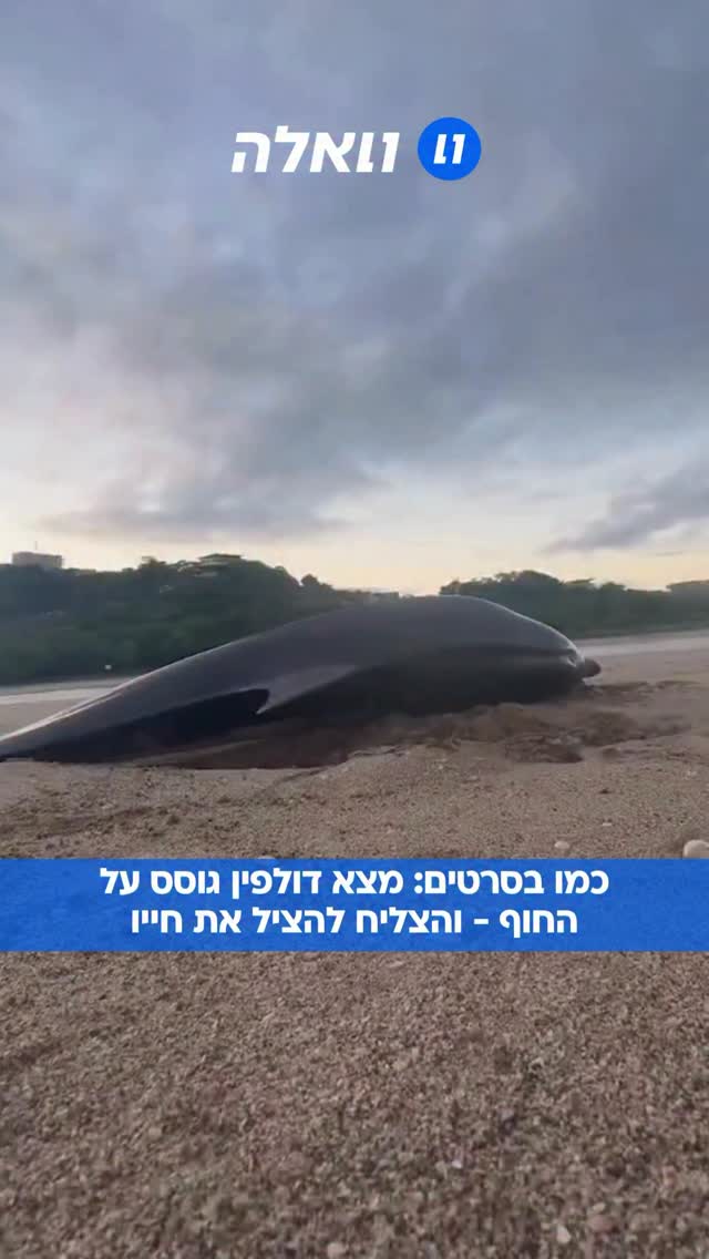 תיעוד יוצא דופן מקוסטה ריקה: גבר בשם דניאל בארוסה הצליח לחלץ...