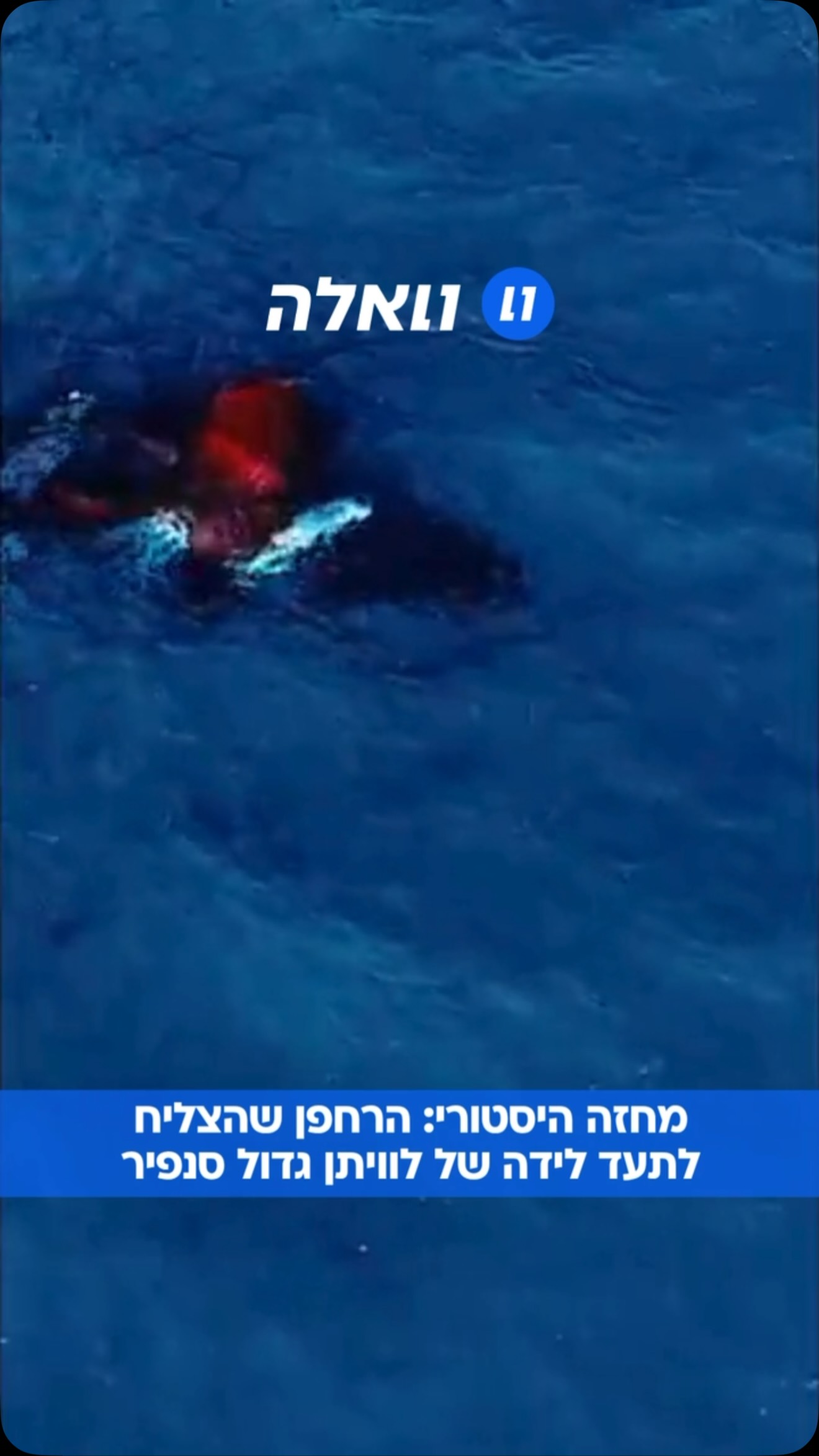 תיעוד נדיר ומטורף מהאוויר: מפעיל רחפן באוסטרליה הצליח ללכוד...