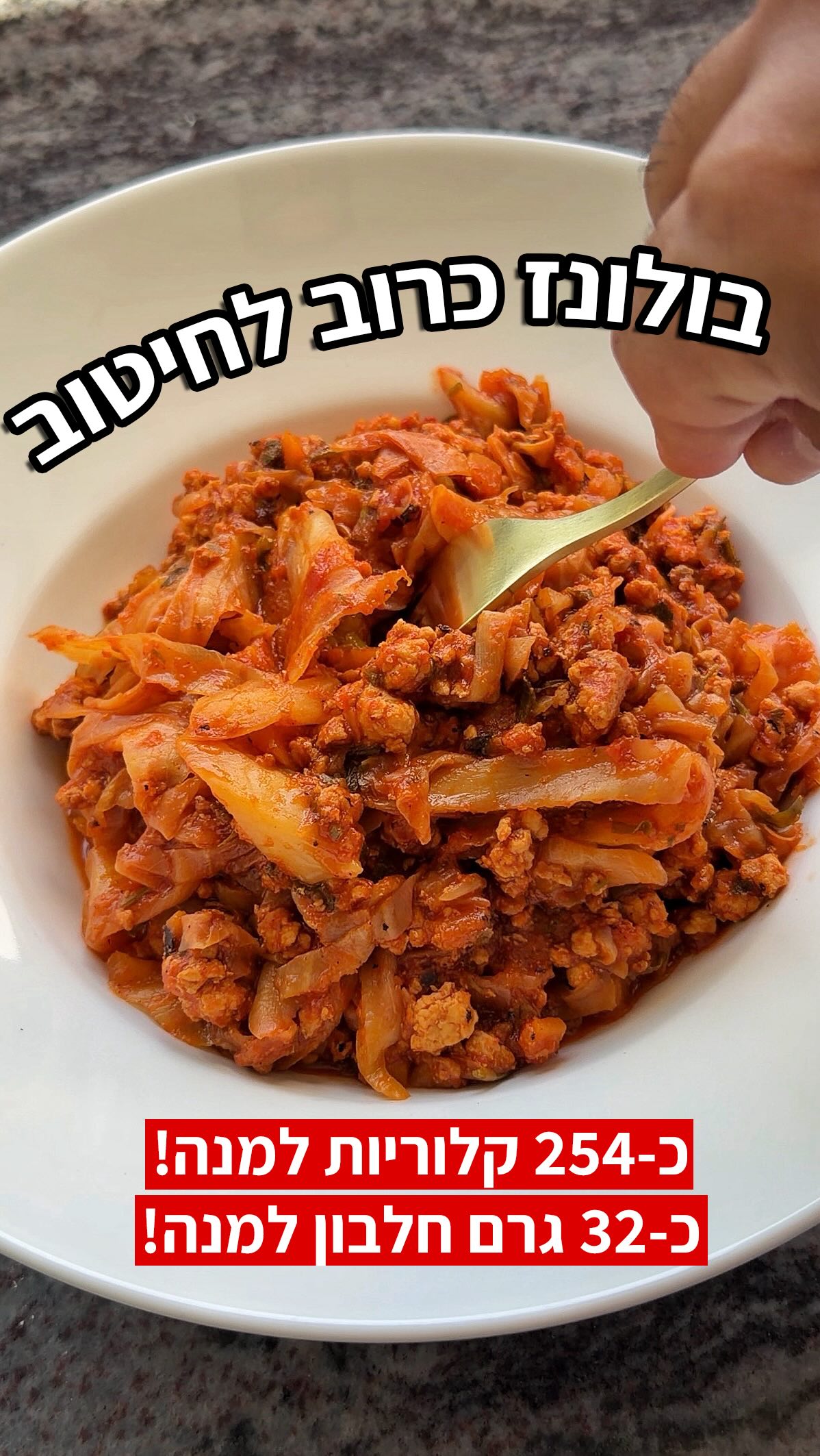 בולונז כרוב עם עוף טחון - מושלם לחיטוב!...