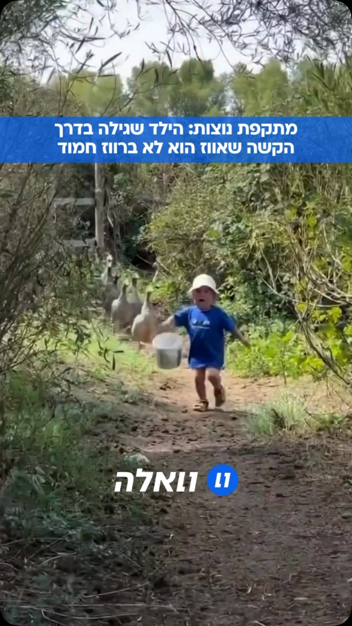 טראומת ילדות חדשה: הילד שנחרד מלהקת האווזים ונס על נפשו אל...