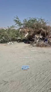בערוצים איראניים מפרסמים תיעודים של פריסת חיילים ותומכי משטר...
