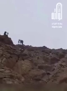 דיווח: ממשלת מרוקו השתמשה באוכלוסייתה שלה במסגרת קמפיין...