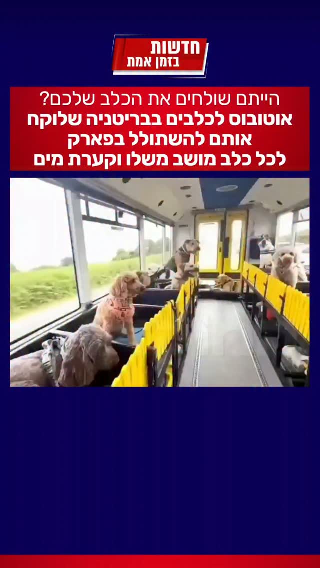 הייתם שולחים את הכלב שלכם?...