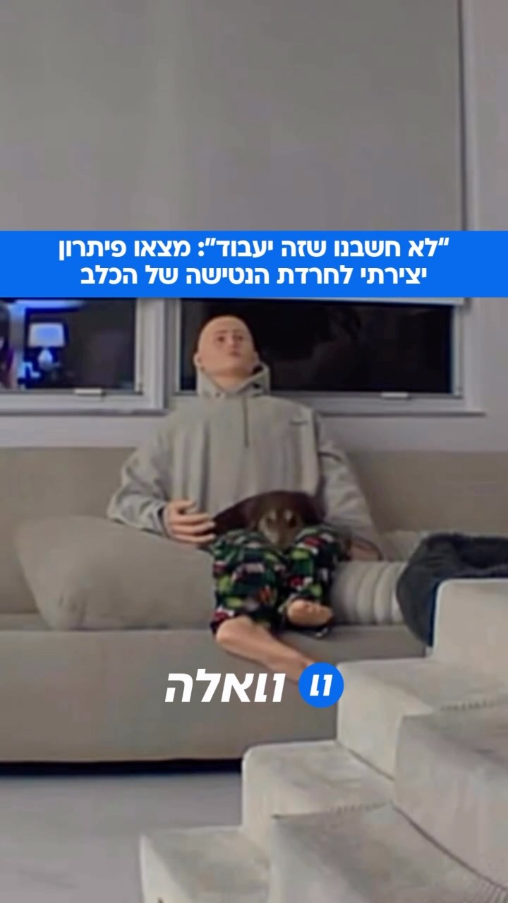 “לדינו יש בעיות”: הזוג שמצא פיתרון יצירתי לחרדת הנטישה של...