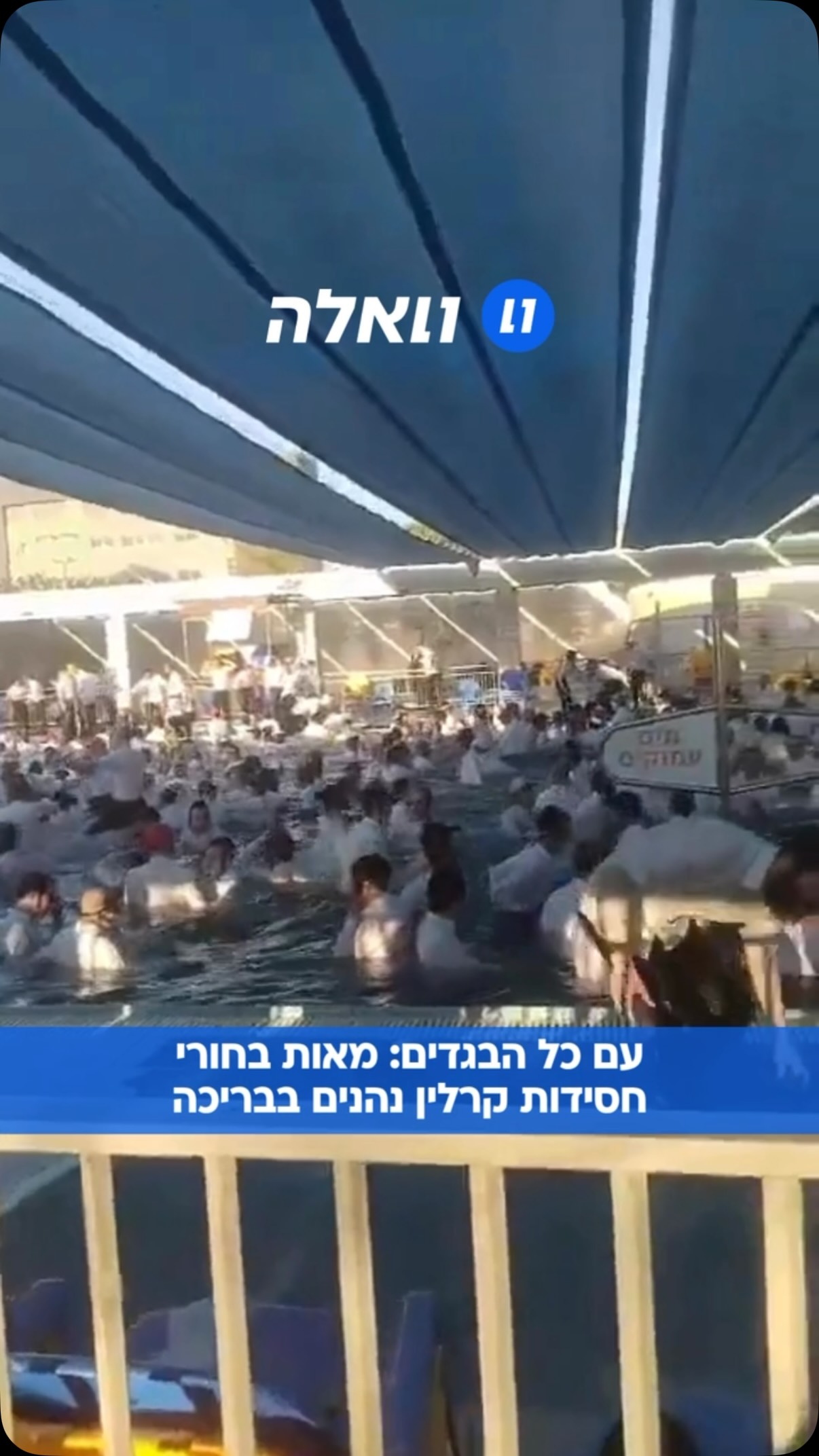 תיעוד חריג: מאות חסידי קרלין טובלים בבריכה כשהם לבושים במלוא...