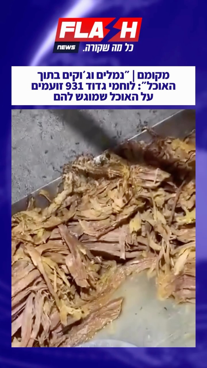 ⁨ מקומם | ״נמלים וג׳וקים בתוך האוכל״: לוחמי גדוד 931 זועמים על...