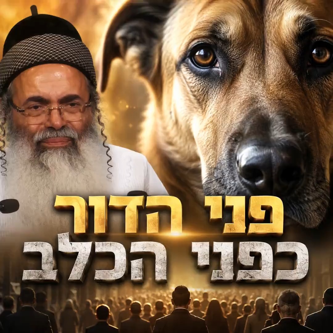 פני הדור כפני הכלב.