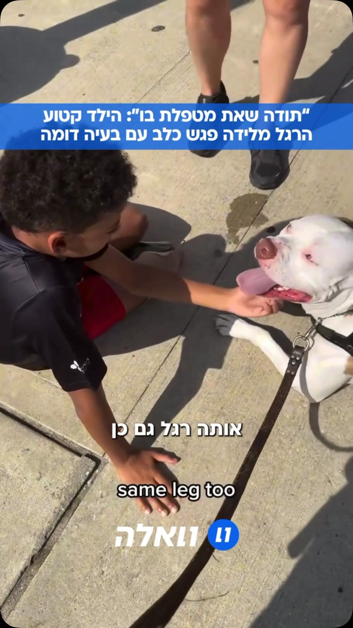 “את יכולה לספר לי את הסיפור?”: הילד שנולד ללא רגל פגש ברחוב...