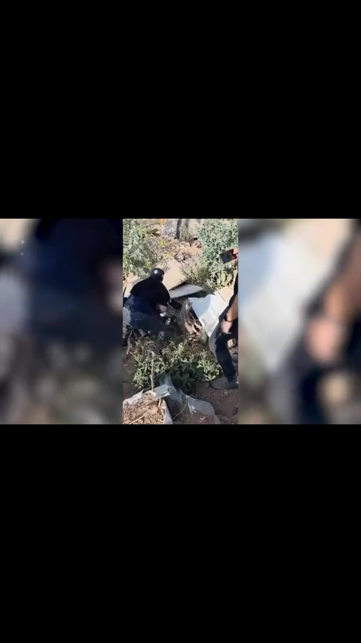 מקווה שהפושעים מלקייה וחורה, שעצורים עכשיו כמו עכברושים,...