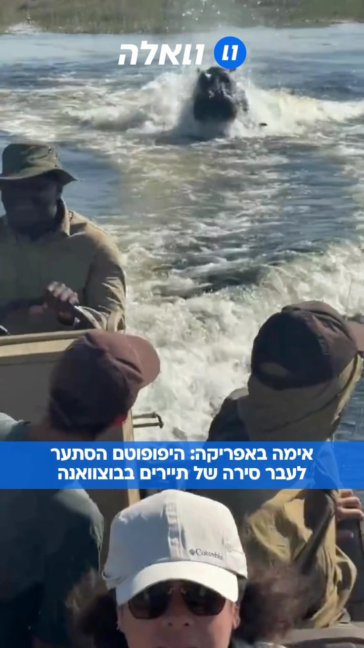 פחד אלוהים: רגע אימה שבו היפופוטם מסתער לעבר סירה של תיירים...