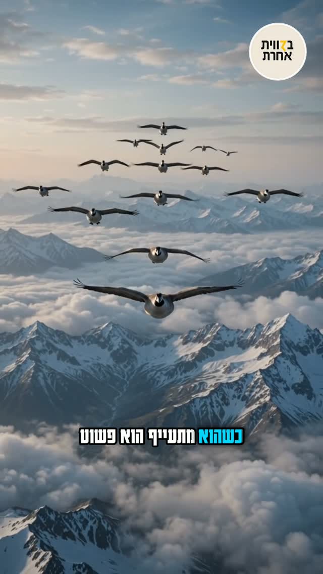 לא תעוף לבד, סוד ההנהגה בלהק....