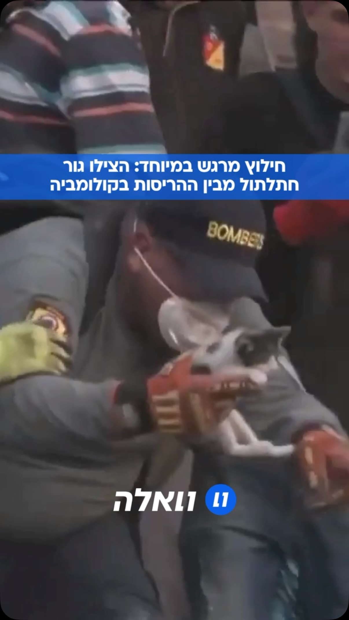 סצנה מרגשת התרחשה בעיר פריירה, שבה צוותי חילוץ הצליחו להוציא...