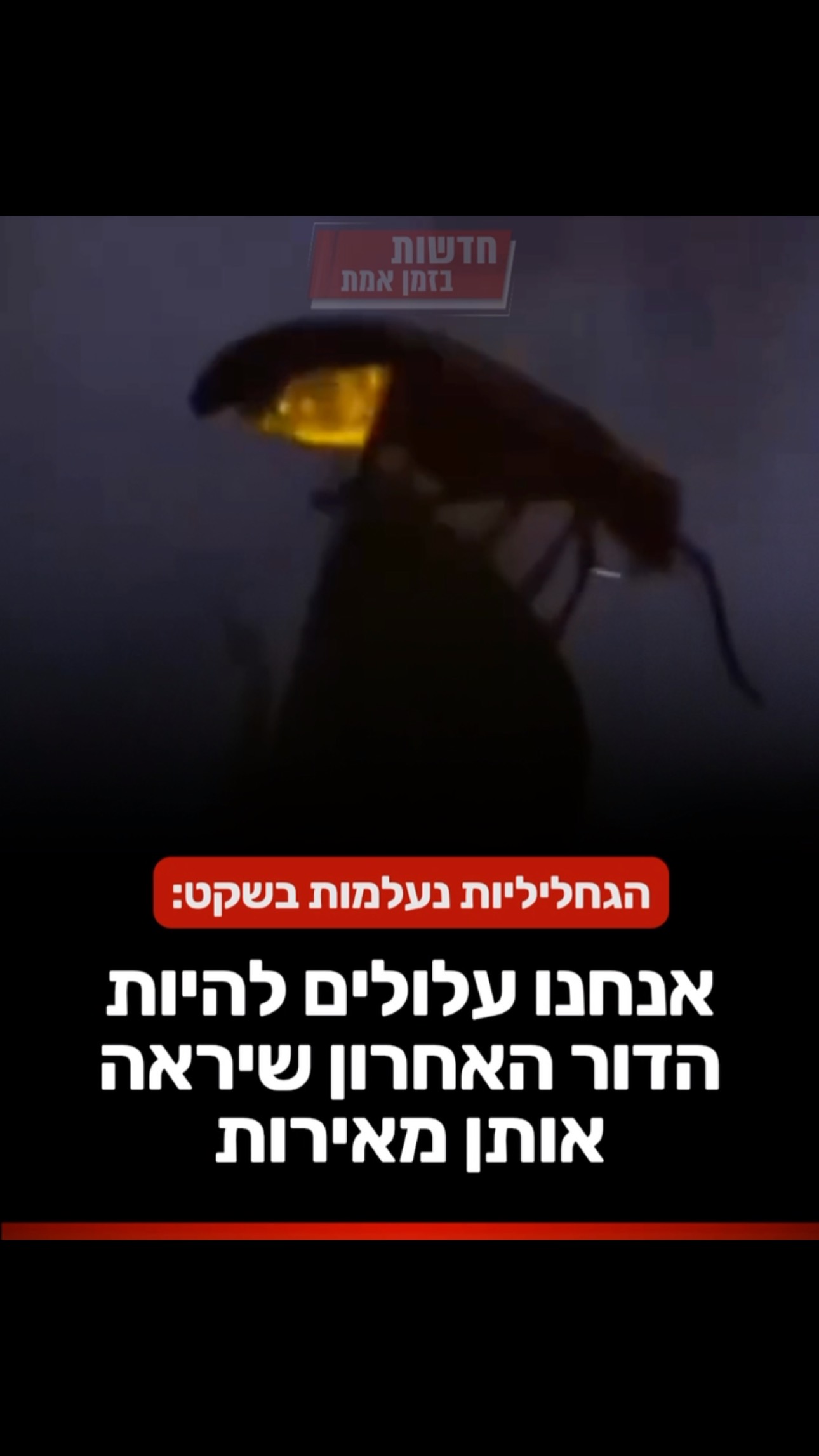 לילות קיץ בלי גחליליות הופכים למציאות שכיחה הרבה יותר ממה...