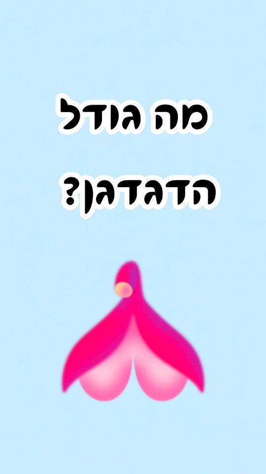 הדגדגן גדול הרבה יותר ממה שנראה לעין....