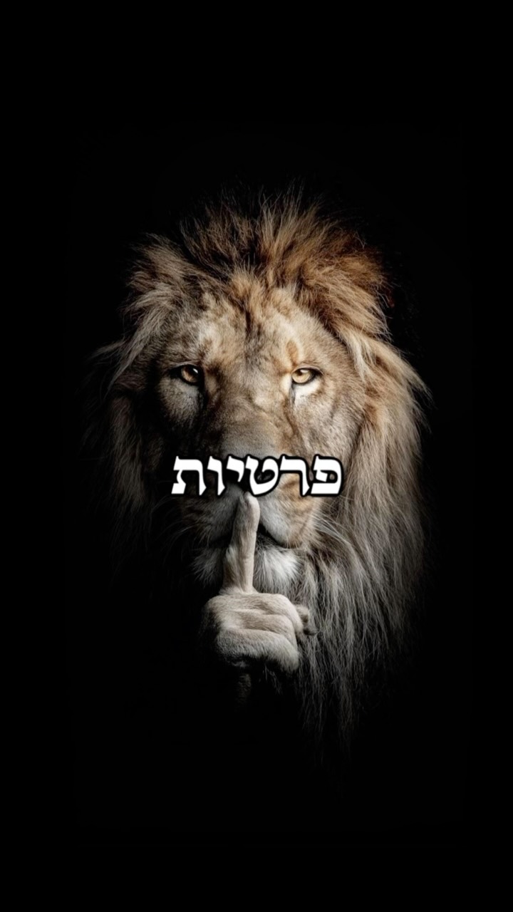 תמיד להתקדם, אבל בשקט 🤫...