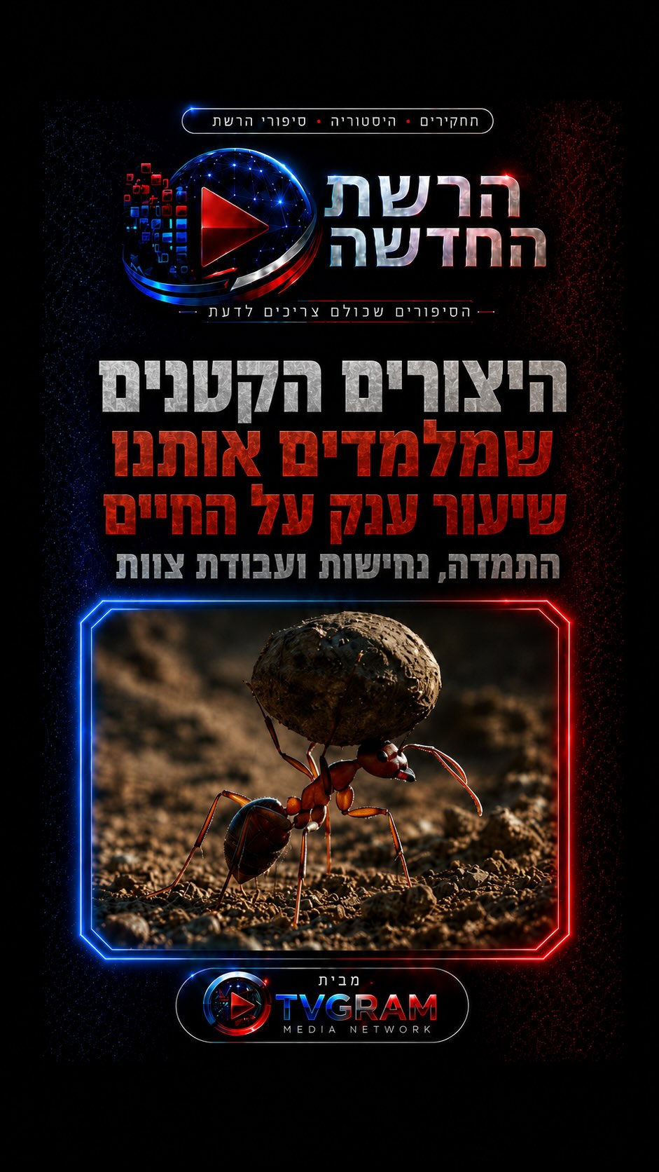 ⁨ ⁨ 🐜 היצורים הקטנים שמלמדים אותנו שיעור ענק על החיים....