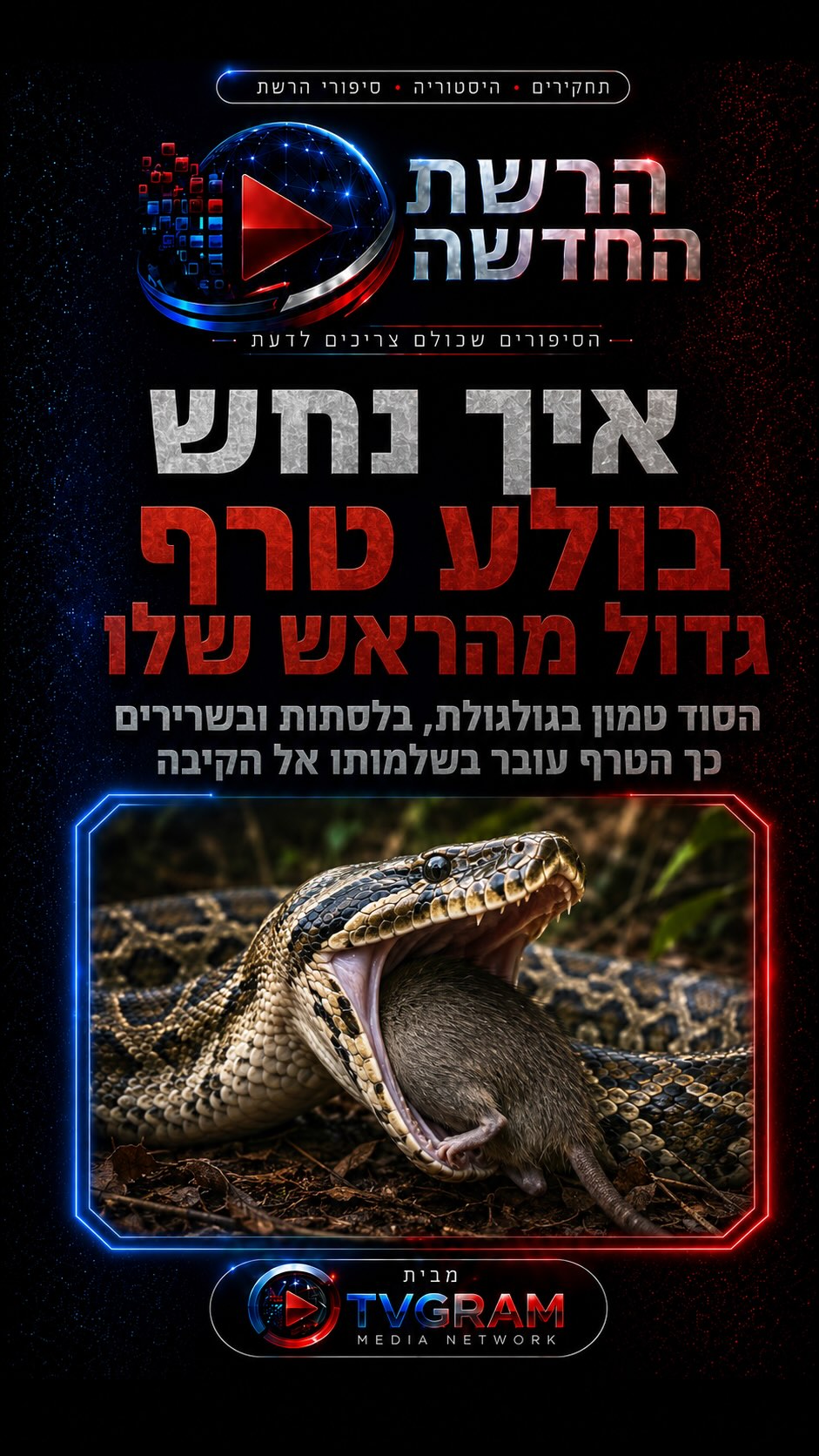 ⁨ נחש יכול לבלוע טרף גדול מהראש שלו — בלי ללעוס אפילו פעם אחת....