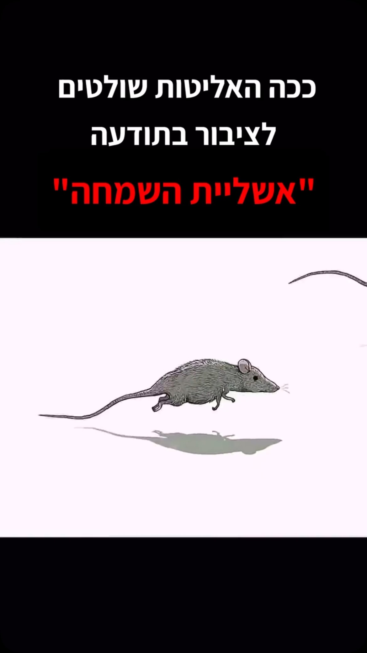 ככה האליטות שולטים לציבור בתודעה "אשליית השמחה"...