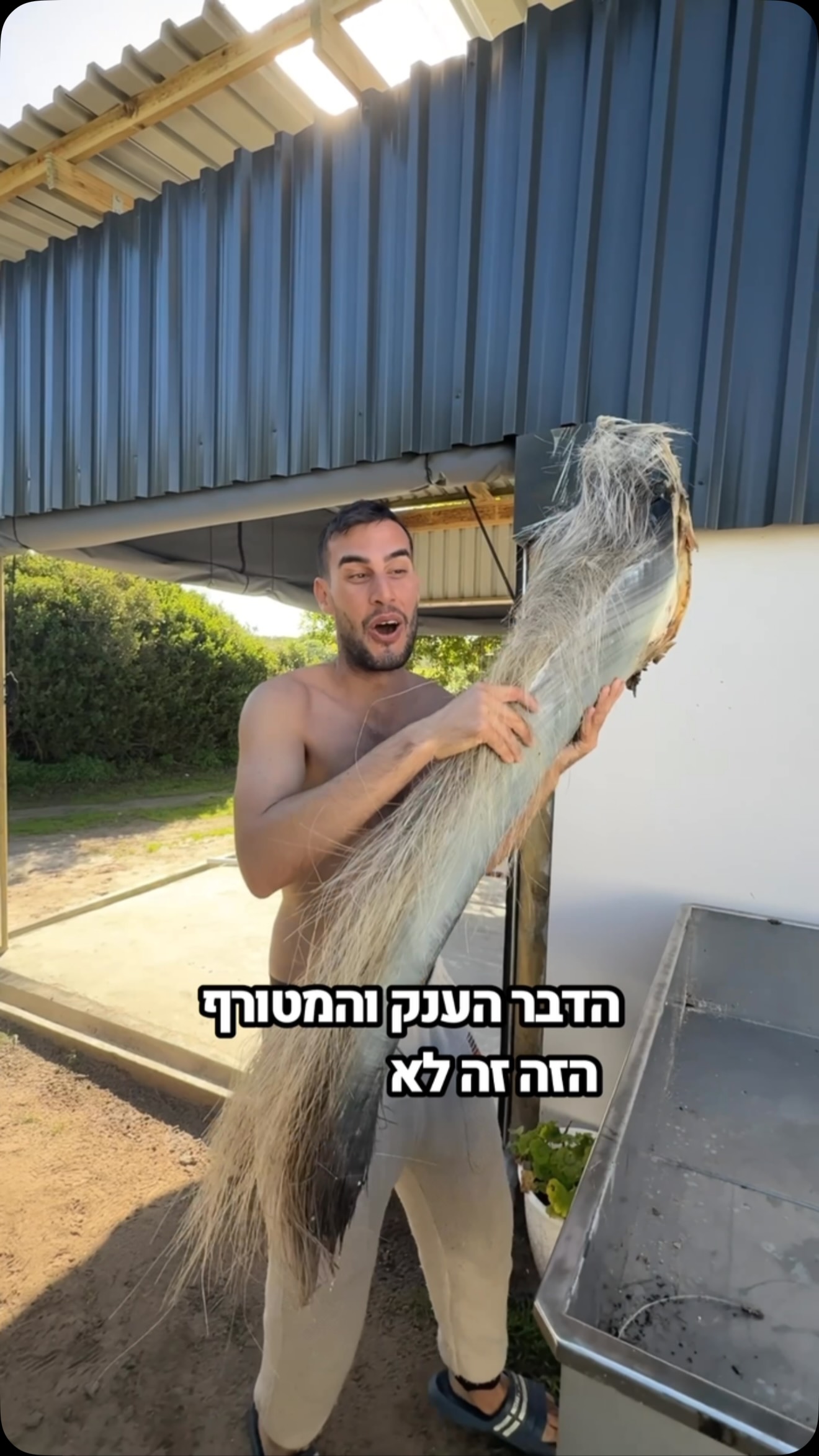 בהלם שיצא לי להחזיק את הדבר העצום הזה!...