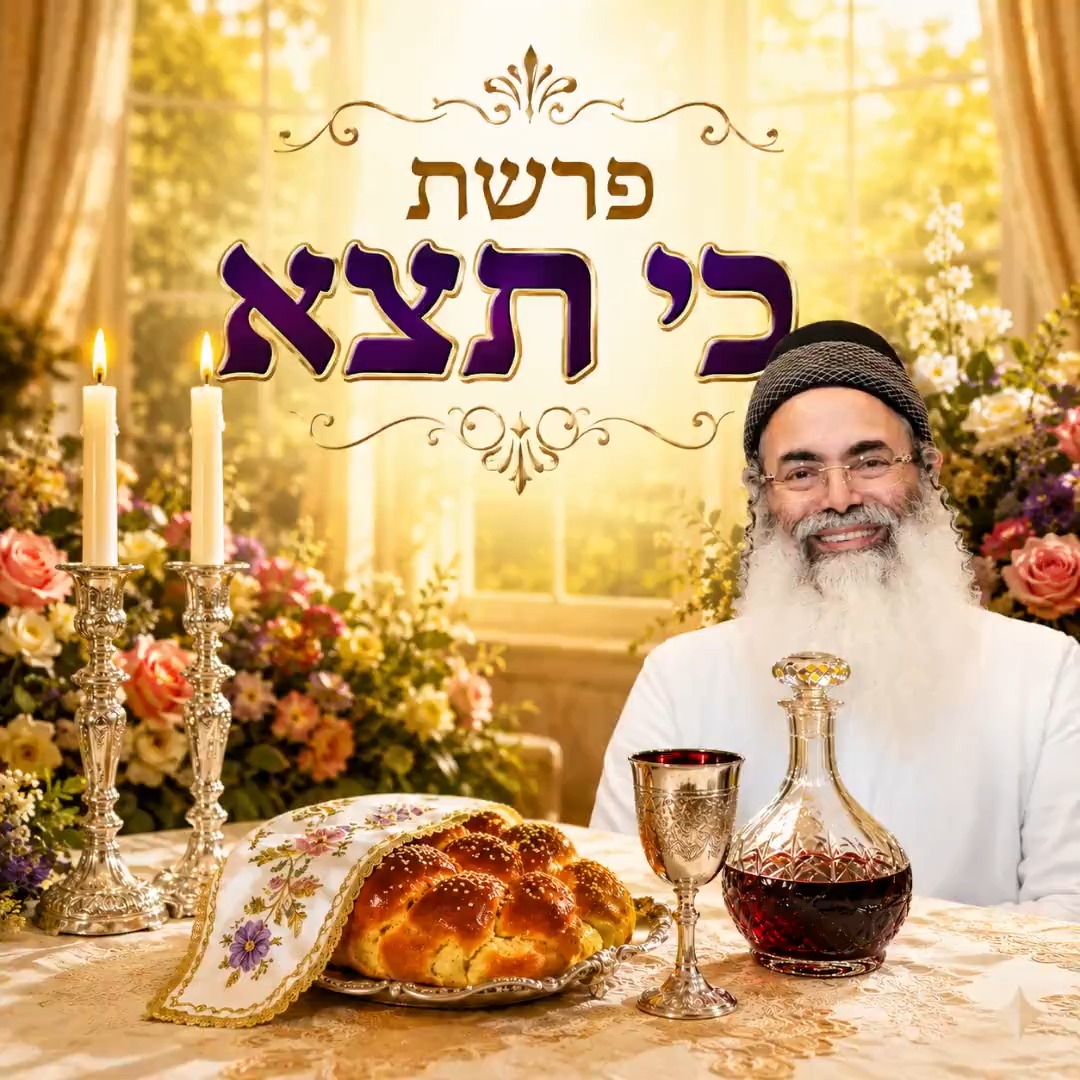 פרשת כי תצא.
