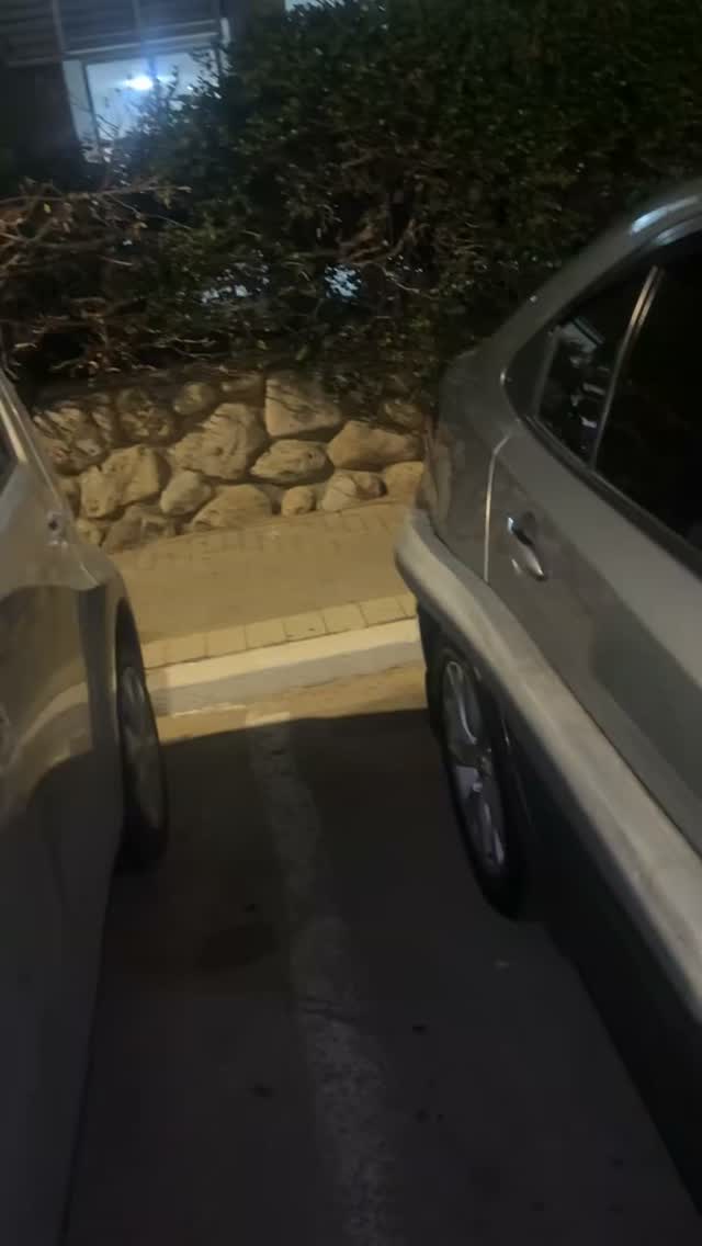 יש דברים שלא עושים🤦🏼