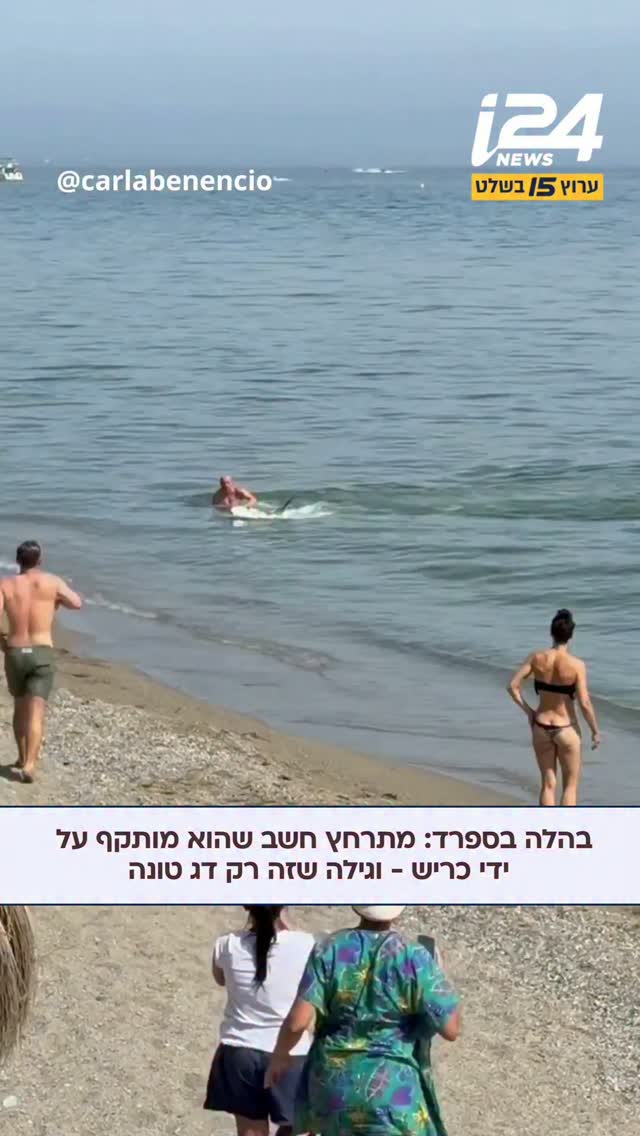 התקפת כריש בחוף? הרוחצים בחוף מרבלה שבספרד נבהלו - עד התפנית...