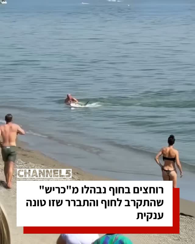 רוחצים בחוף נבהלו מ"כריש" שהתקרב לחוף והתברר שזו טונה ענקית...