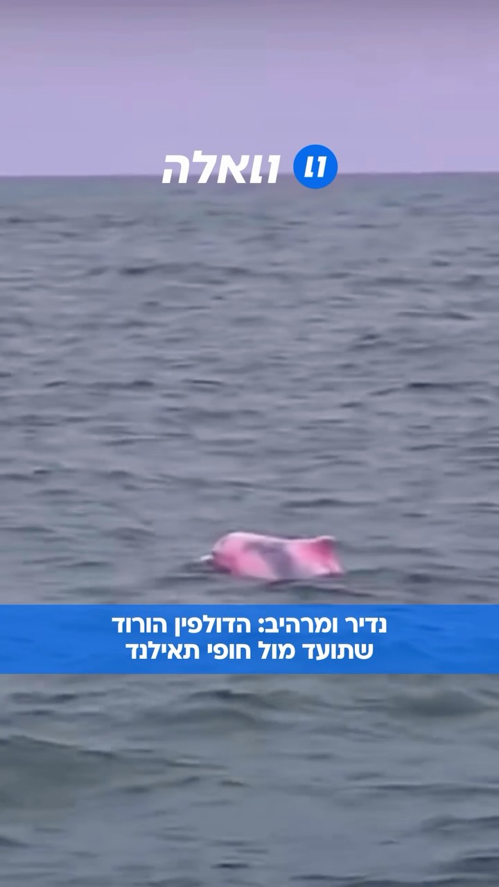 מחזה שלא רואים בכל יום: תיירת איטלקייה שטיילה באזור קאנום...