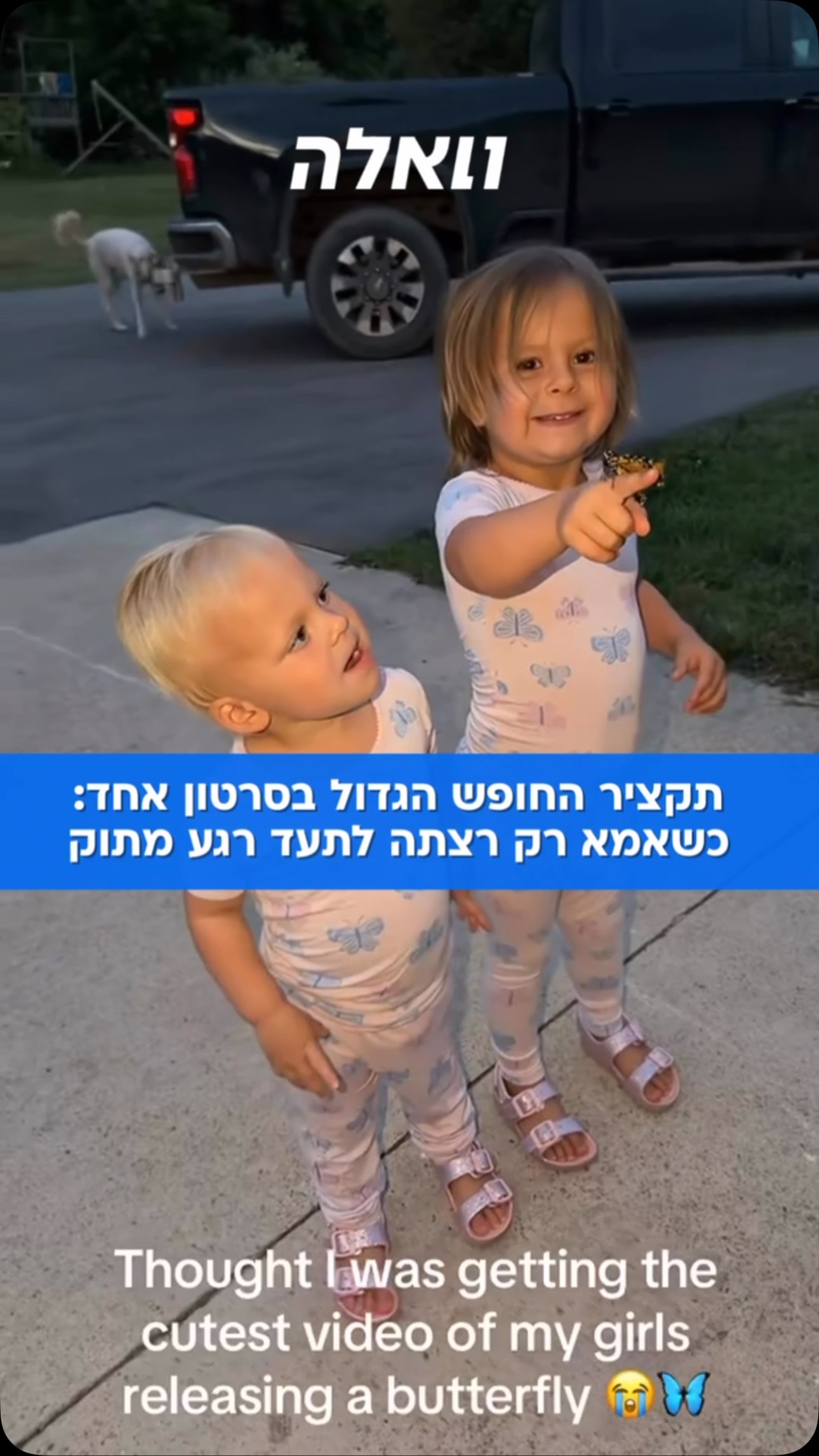 לא נמצא תיאור....