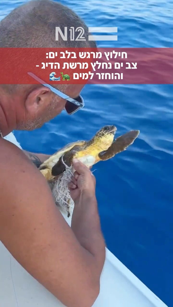 ⁨ במהלך שיט בסירה, זיהו הנוסעים צב ים קטן שהסתבך ברשת דיג...