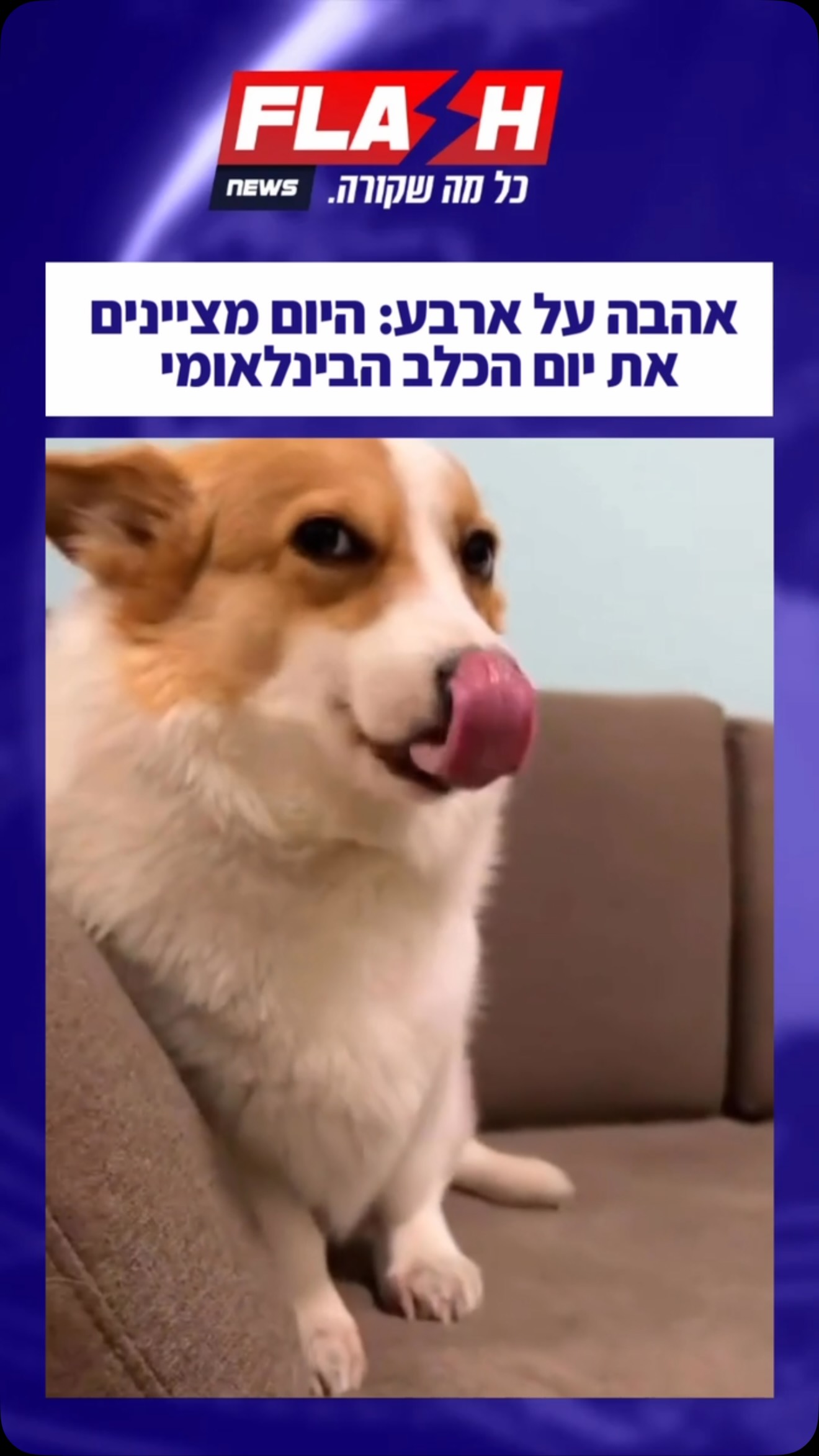 היום חוגגים את החברים הכי טובים שלנו!...