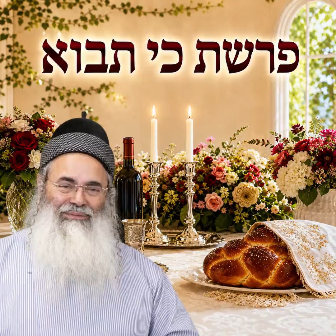 פרשת כי תבוא.