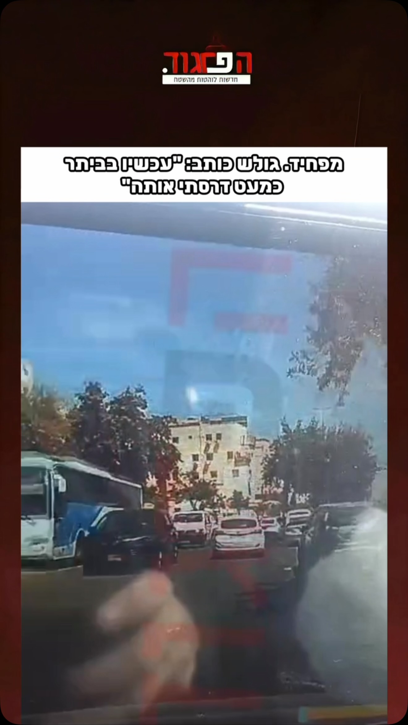 מפחיד. גולש כותב: “עכשיו בביתר כמעט דרסתי אותה”...