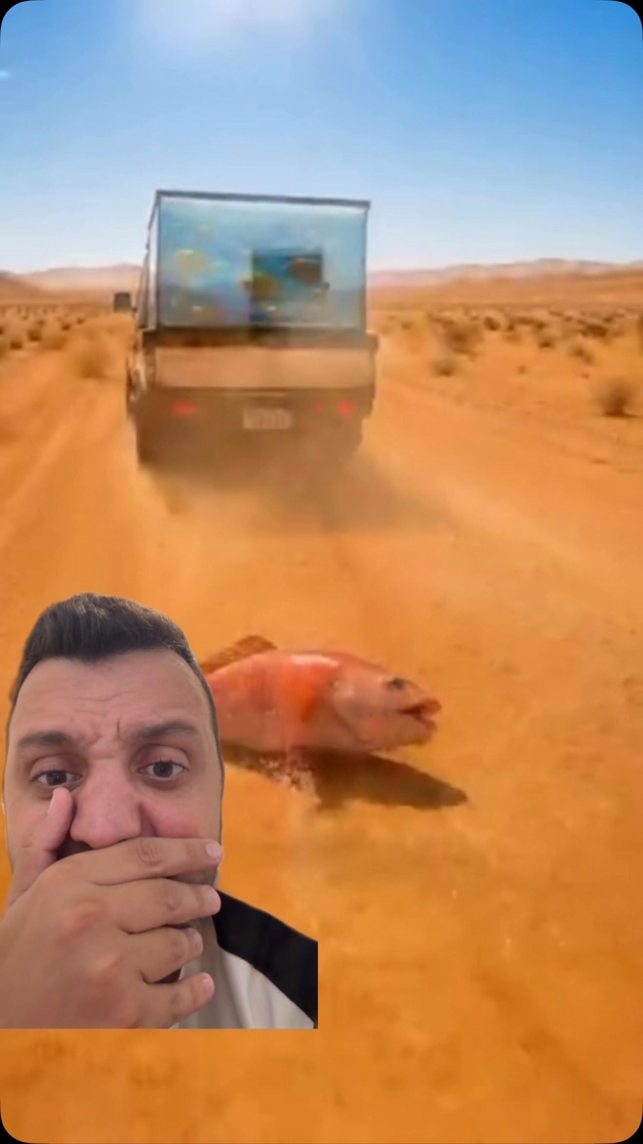 הדג שעף במדבר, תעקבו לחלק 2...