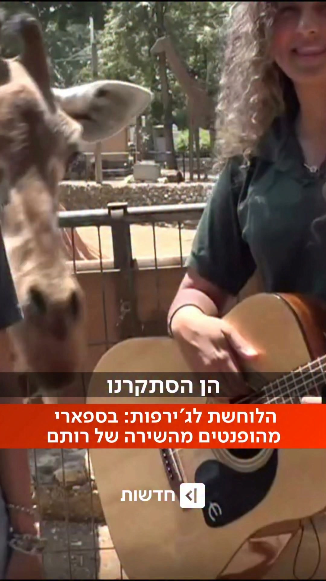 יש מצב שזה הקהל הכי טוב בעולם? 😍🦒🎶...